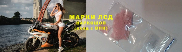 спиды Елизово