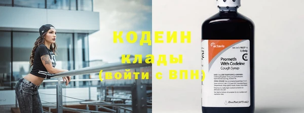 спиды Елизово