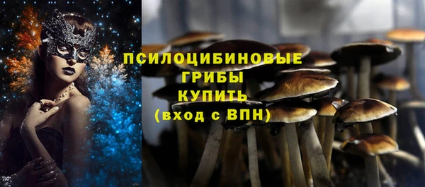 таблы Елабуга