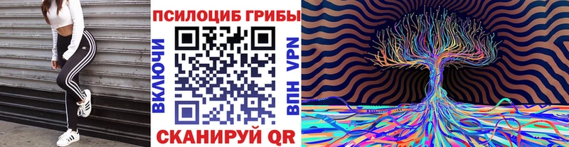 Галлюциногенные грибы Cubensis  Купить закладки  Заречный 
